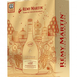 Rémy Martin 1738 Coffret Moule à Glace 40%