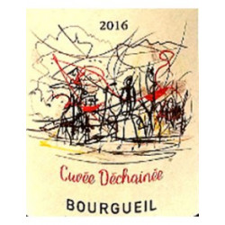 BOURGUEIL CUVEE DES CHESNAIES 2023