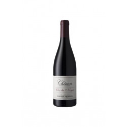 Chinon Clos Du Noyer 2018 - Nicolas Grosbois