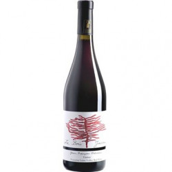 TOURAINE LE BOIS JACOU 2019 - MERIAU