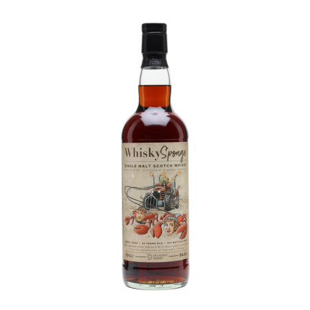 Ardmore 22 ans 2000 - Whisky Sponge - Single Cask - Speyside - 54,2%