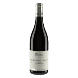 Savigny Les Beaunes 1er Cru Les Peuillets 2022 - Domaine Croix