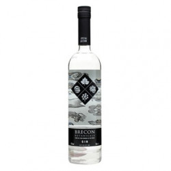 GIN BRECON BOTANICALS - Penderyn